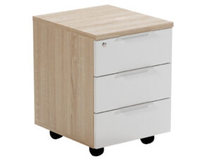 ARBYD Matně b&iacute;l&yacute; dubov&yacute; kancel&aacute;řsk&yacute; kontejner Thor 42