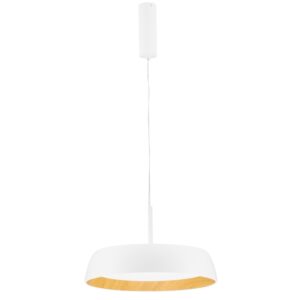 B&iacute;l&eacute; kovov&eacute; z&aacute;věsn&eacute; LED světlo Nova Luce Sigi 45 cm