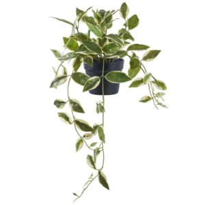 Nordic Living Uměl&aacute; květina Hoya 33 cm