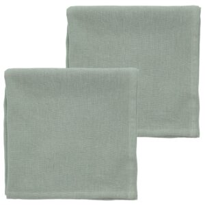 S&ouml;dahl Sada dvou zelen&yacute;ch lněn&yacute;ch ubrousků Pure Linen 45 x 45 cm