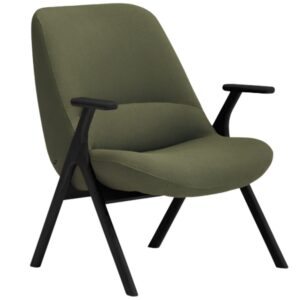 Teulat N&iacute;zk&eacute; zelen&eacute; křeslo Dins s černou dřevěnou podnož&iacute;