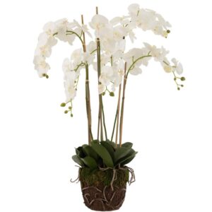 Uměl&aacute; květina J-Line Maryath Orchid 104 cm