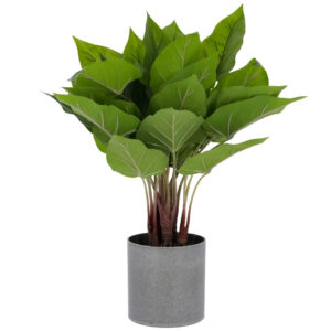 Uměl&aacute; květina Kave Home Anthurium 50 cm