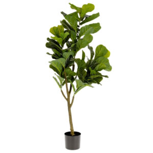 Uměl&aacute; květina Kave Home Ficus 150 cm