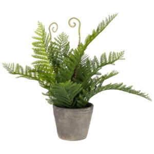 Uměl&aacute; květina Kave Home Filicopsida 35 cm