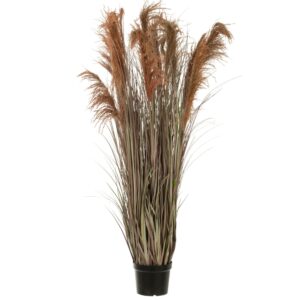 Uměl&aacute; pampov&aacute; tr&aacute;va J-line Renbas 180 cm