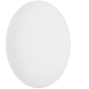 Kave Home Skleněn&eacute; n&aacute;stěnn&eacute; světlo s černou z&aacute;kladnou Bamila &Oslash; 25 cm