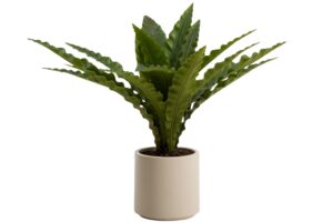 Kave Home Uměl&aacute; květina Neottopteris 70 cm