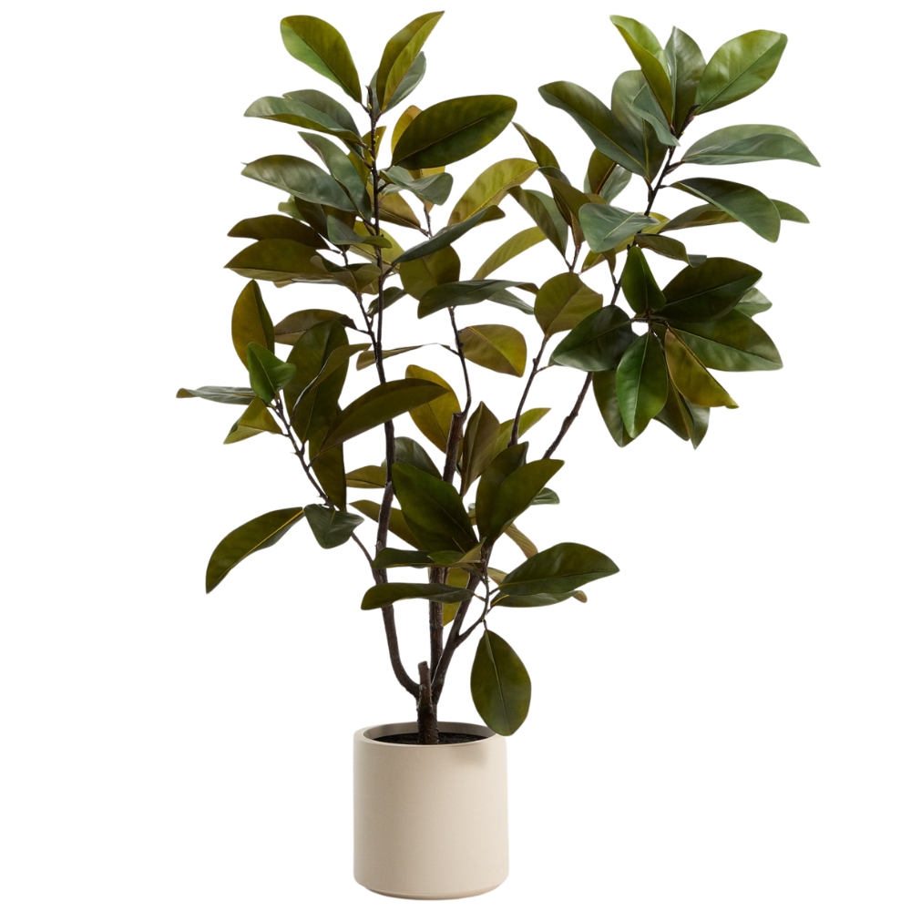 Kave Home Umělá rostlina Magnolia 160 cm